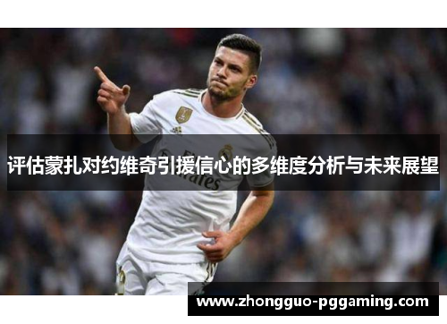 评估蒙扎对约维奇引援信心的多维度分析与未来展望