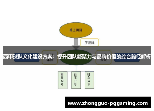 西甲球队文化建设方案：提升团队凝聚力与品牌价值的综合路径解析