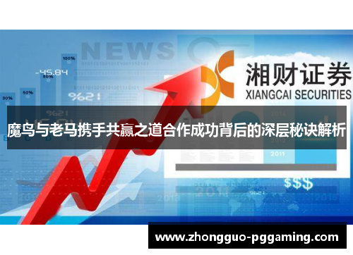 魔鸟与老马携手共赢之道合作成功背后的深层秘诀解析
